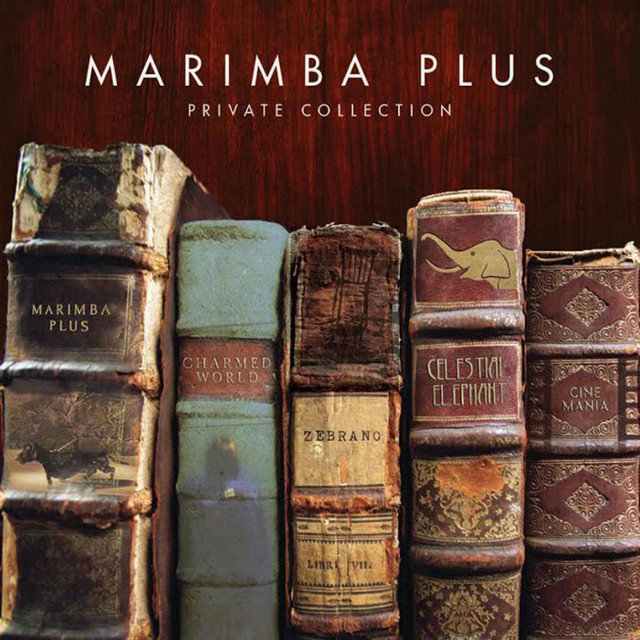 Marimba Plus Photo