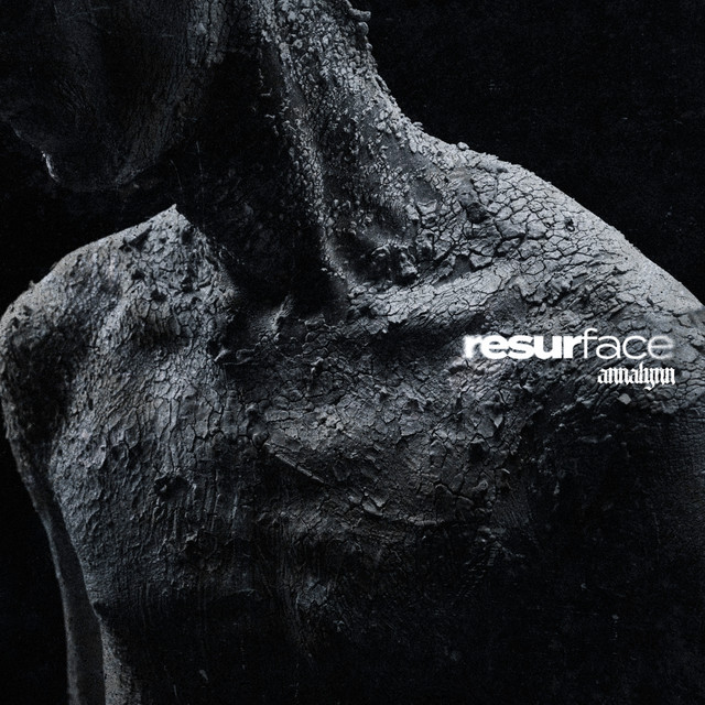 Resurface cover