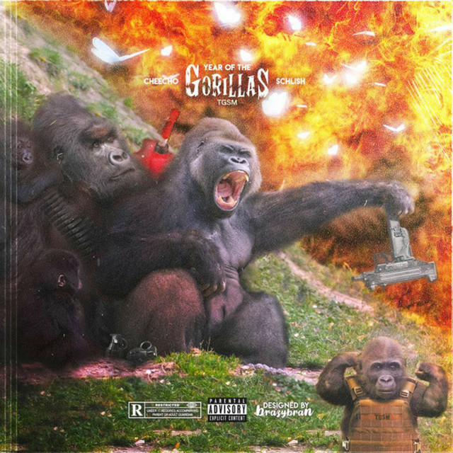 Year Of The Gorillas cover art