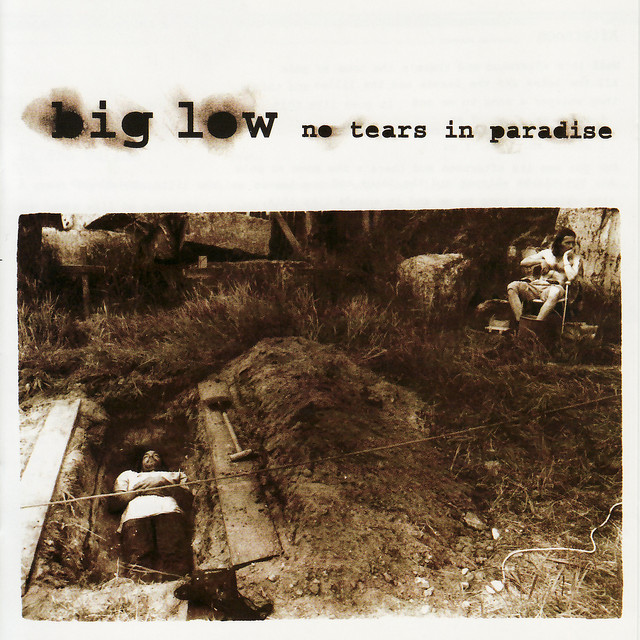 No Tears In Paradise cover art