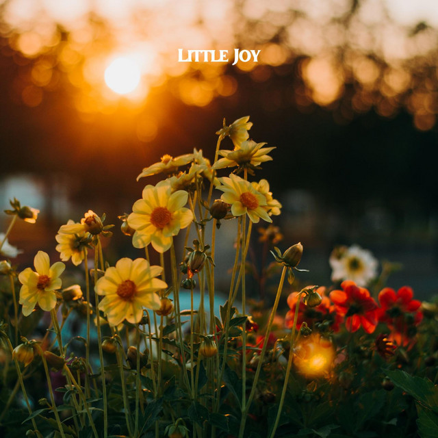 Обкладинка Lesfm — Little Joy