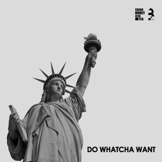Обкладинка: Do Whatcha Want - 3SDS Remix — Sugar Honey Iced Tea