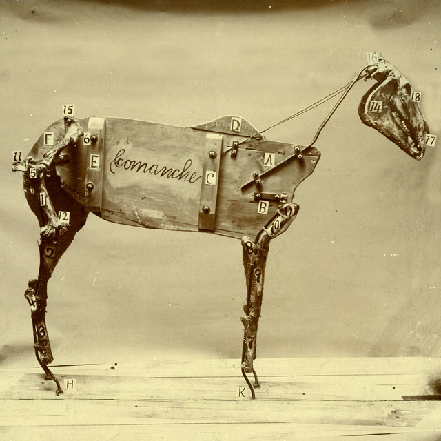 The Horse Comanche cover art