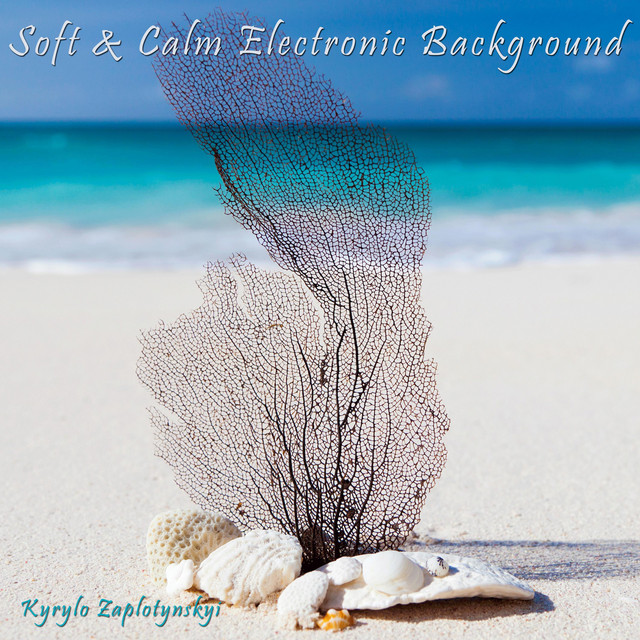 Cover art: Soft & Calm Electronic Background — Kyrylo Zaplotynskyi