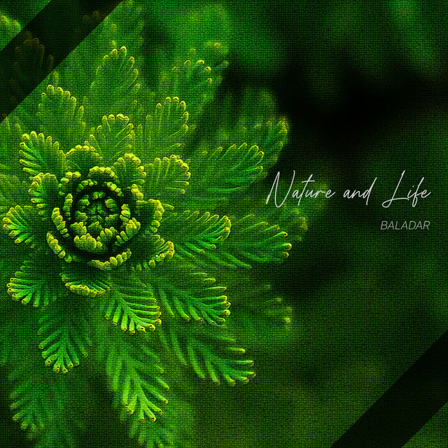 Nature and Life cover art