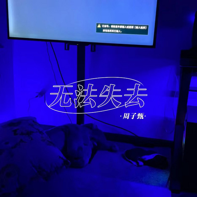 无法失去
