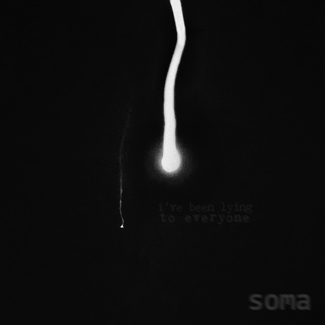 I've Been Lying to Everyone cover art