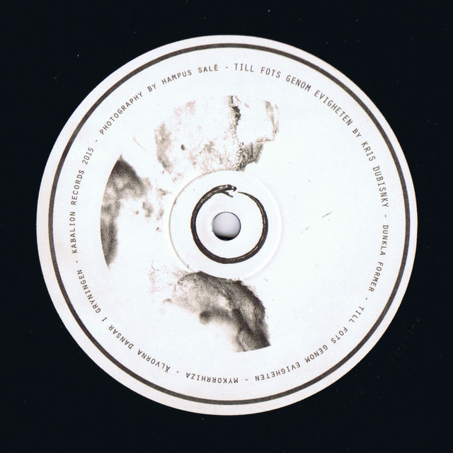 Till fots genom evigheten cover art