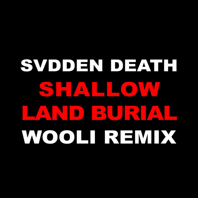 Shallow Land Burial (Wooli Remix) cover art