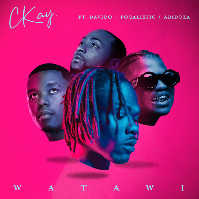 Cover du titre WATAWI (feat. Davido, Focalistic & Abidoza)