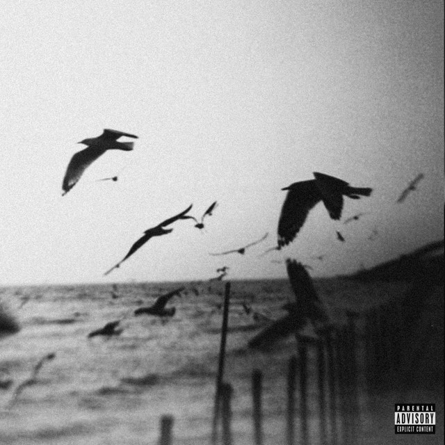 115 cover art