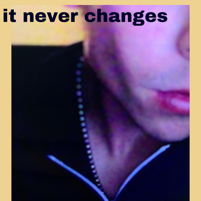 Cover du titre It Never Changes