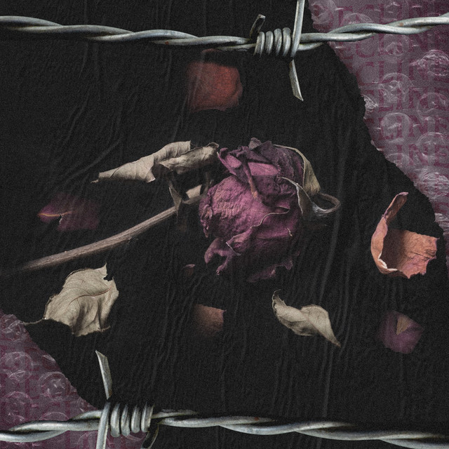 Isolation cover art