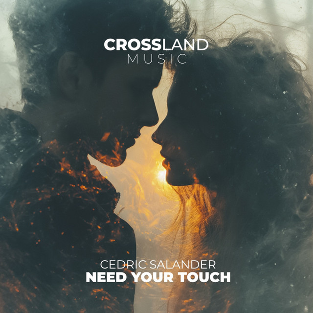 Need Your Touch album art