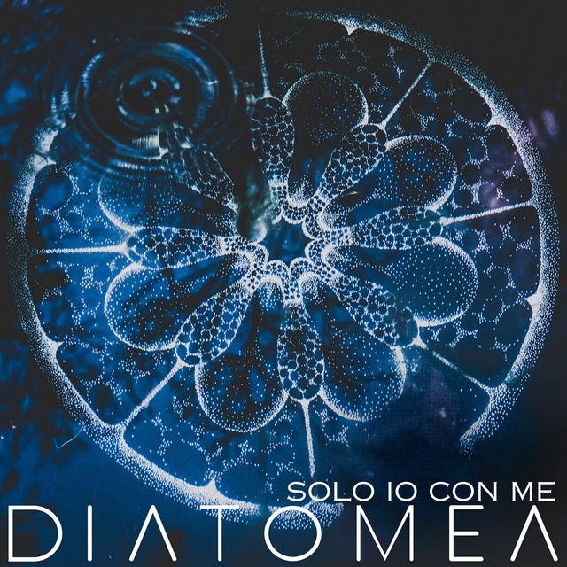 Diatomea