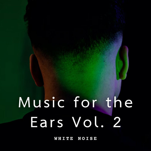 White Noise: Music for the Ears Vol. 2 cover art