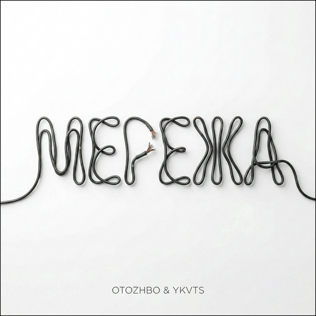 Обкладинка: МЕРЕЖА — OTOZHBO