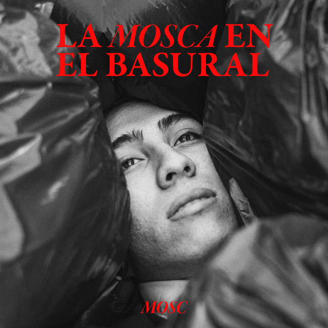 La mosca en el basural cover art