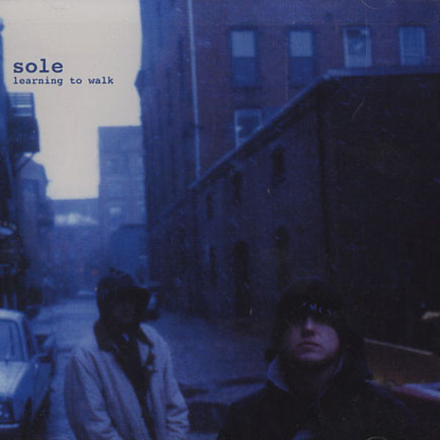 Learning To Walk cover art