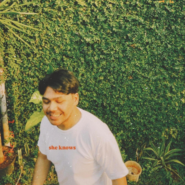 SHE KNOWS cover art