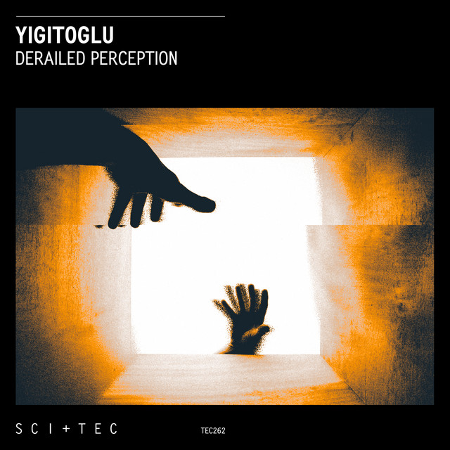 Derailed Perception album art