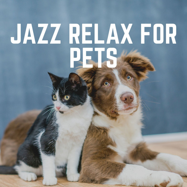 Jazz Relax for Pets - Album by Jazz Music Therapy for Cats | Spotify