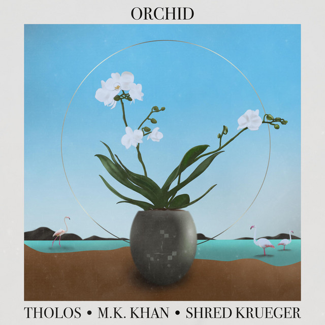 ORCHID cover