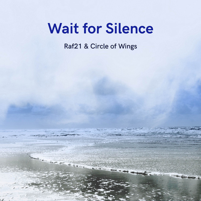 Wait for Silence cover art
