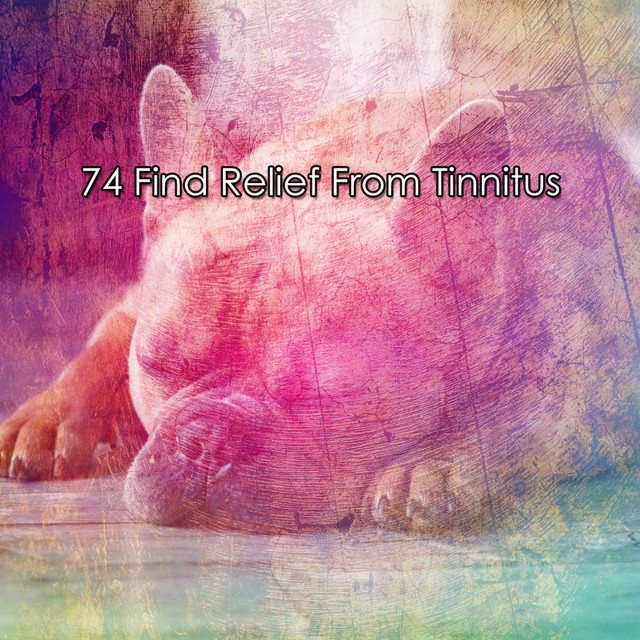 74 Find Relief From Tinnitus cover art