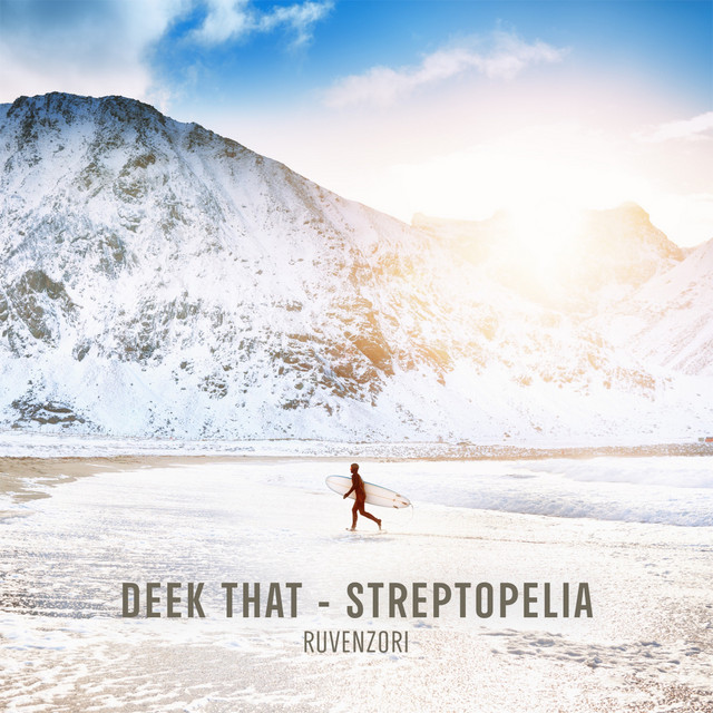 Streptopelia album art