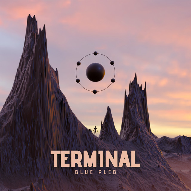 Terminal cover