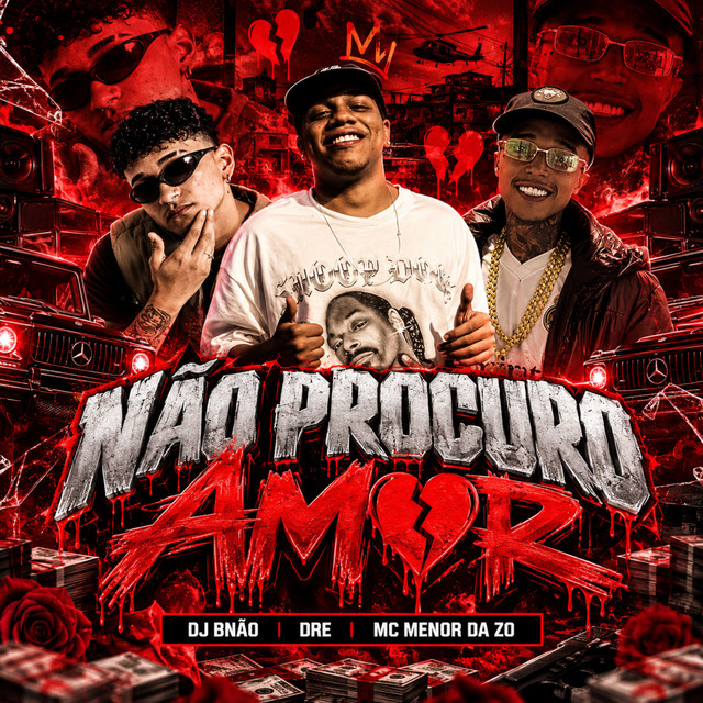 Não Procuro Amor