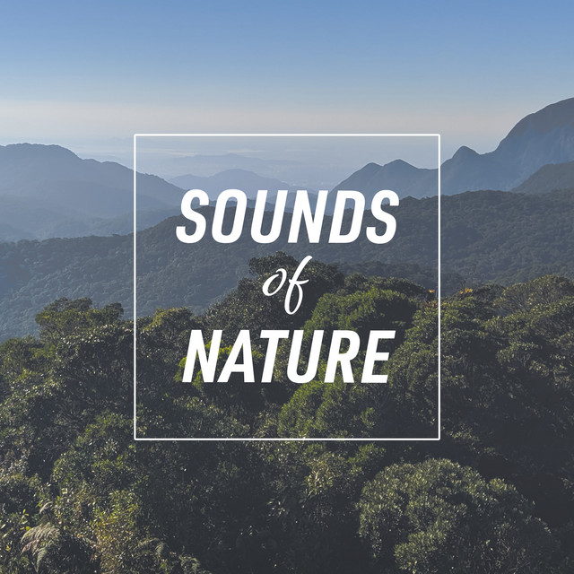 Sounds of Nature ! ! ! - Album by Sounds of Nature Relaxation | Spotify