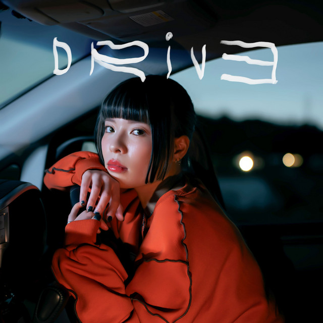 Drive cover