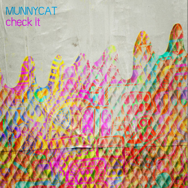 Check It cover