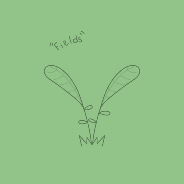 Fields cover art