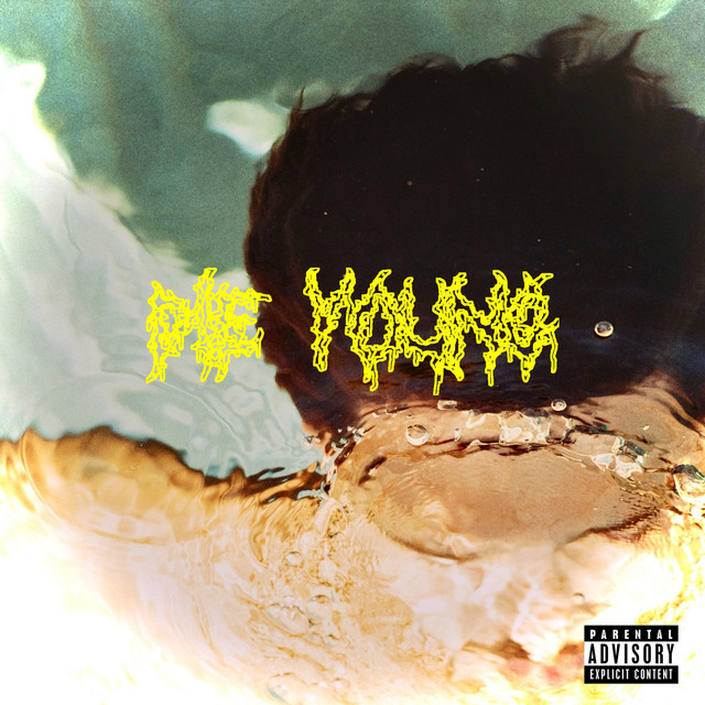 Die Young cover art