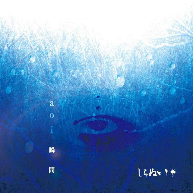 aoi syunkan cover art