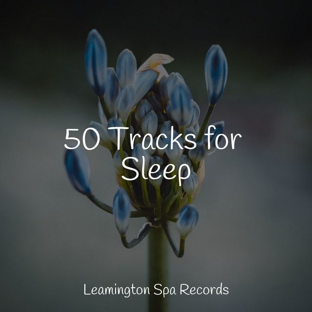 50 Tracks for Sleep - Album by Nature & Sounds Background | Spotify