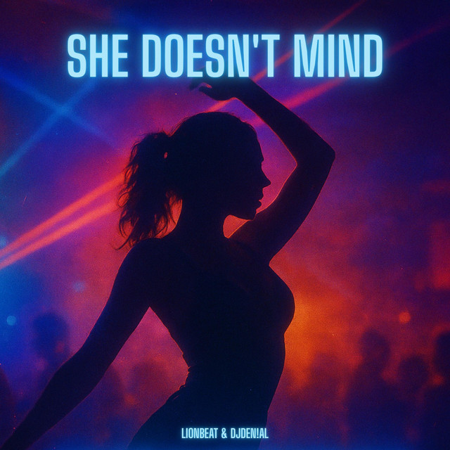 She Doesn't Mind (Techno)