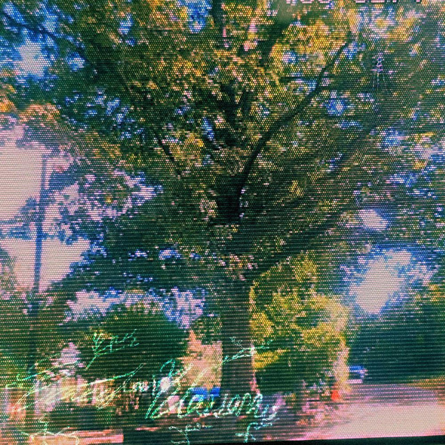 aBraceforBlossom cover art