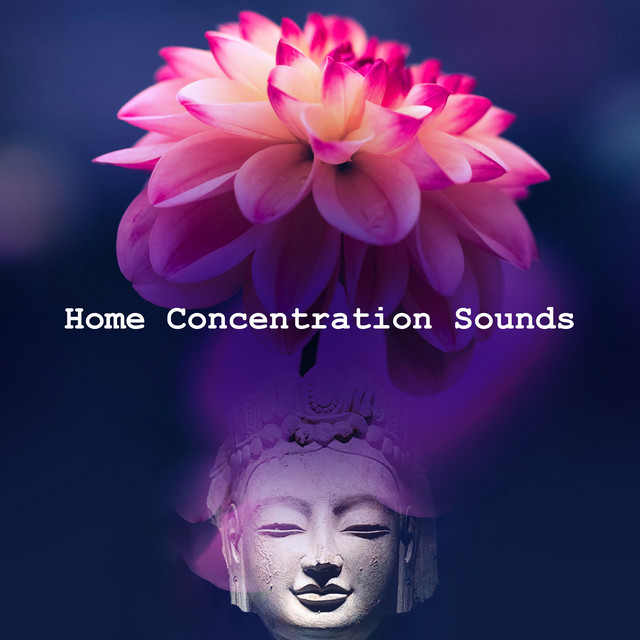 Home Concentration Sounds cover art