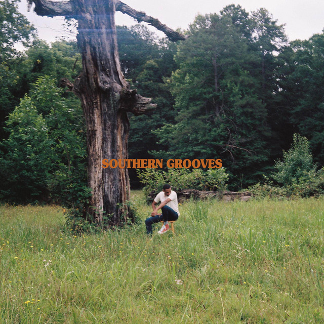 Southern Grooves album image