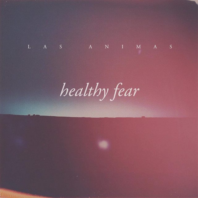 Healthy Fear cover