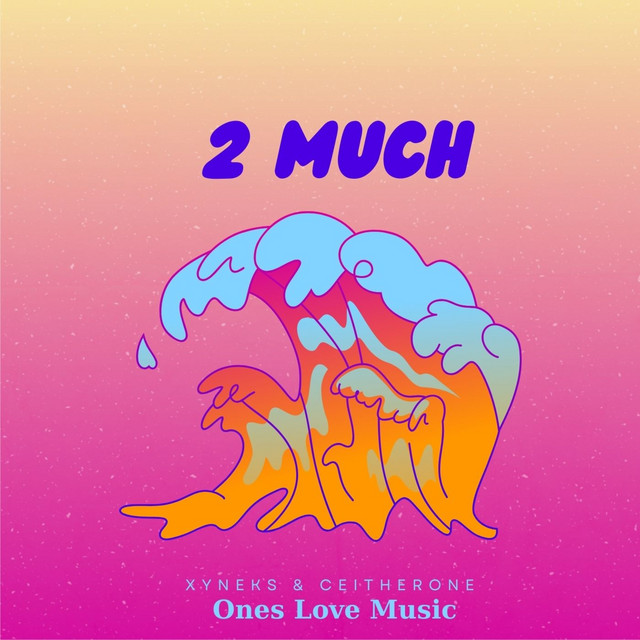 2 Much cover art