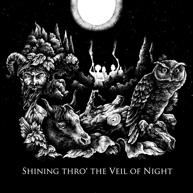 Shining Thro' the Veil of Night cover art