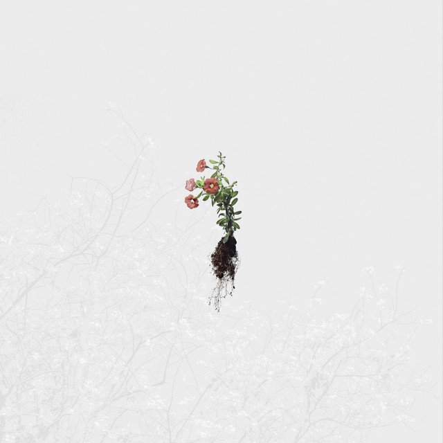 We Dreamed to Each Other (single)