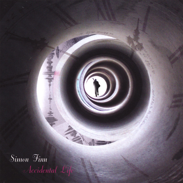 Accidental Life cover art