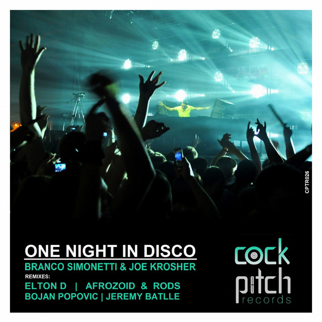 One Night In Disco - Original Mix cover art