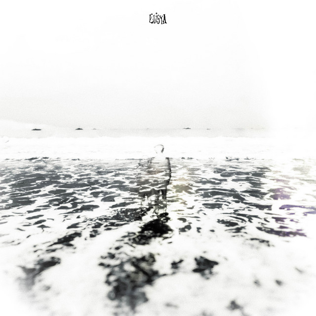 Sections cover art